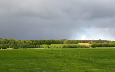 Ondertussen genieten van het prachtige uitzicht…