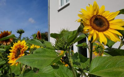 Nog heerlijk zomerweer!