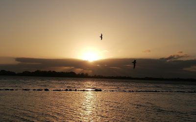 Genieten van de ondergaande zon!